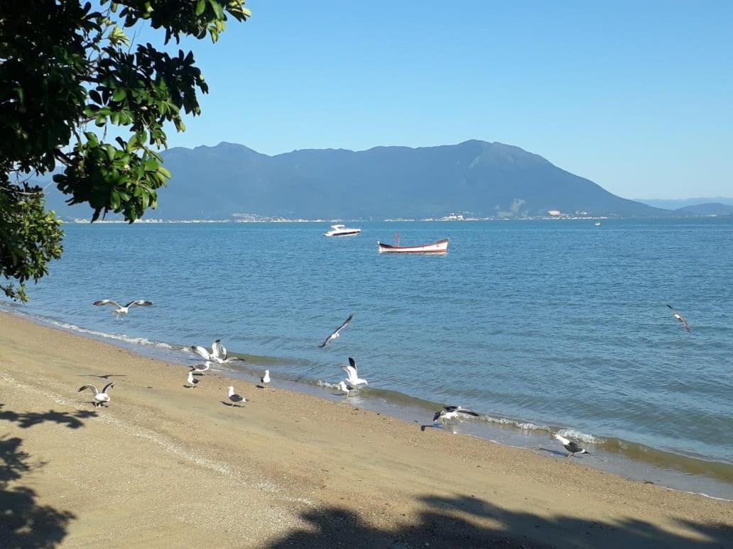 Casa Agradavel, 50M Da Praia Freguesia Do Ribeirao Da Ilha Florianópolis Exteriér fotografie